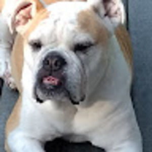 Meet your Posher, Kate